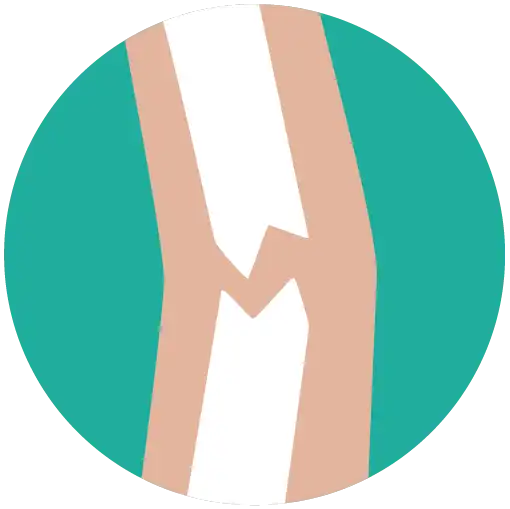 Fracture & Trauamtology